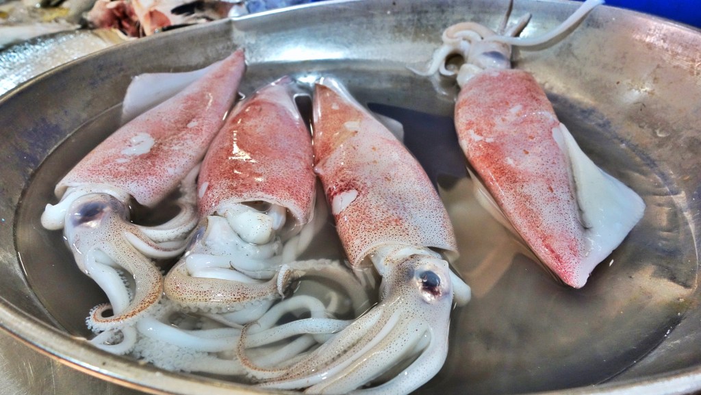 Squid at the Jurong East Market in Singapore (also known as sotong)