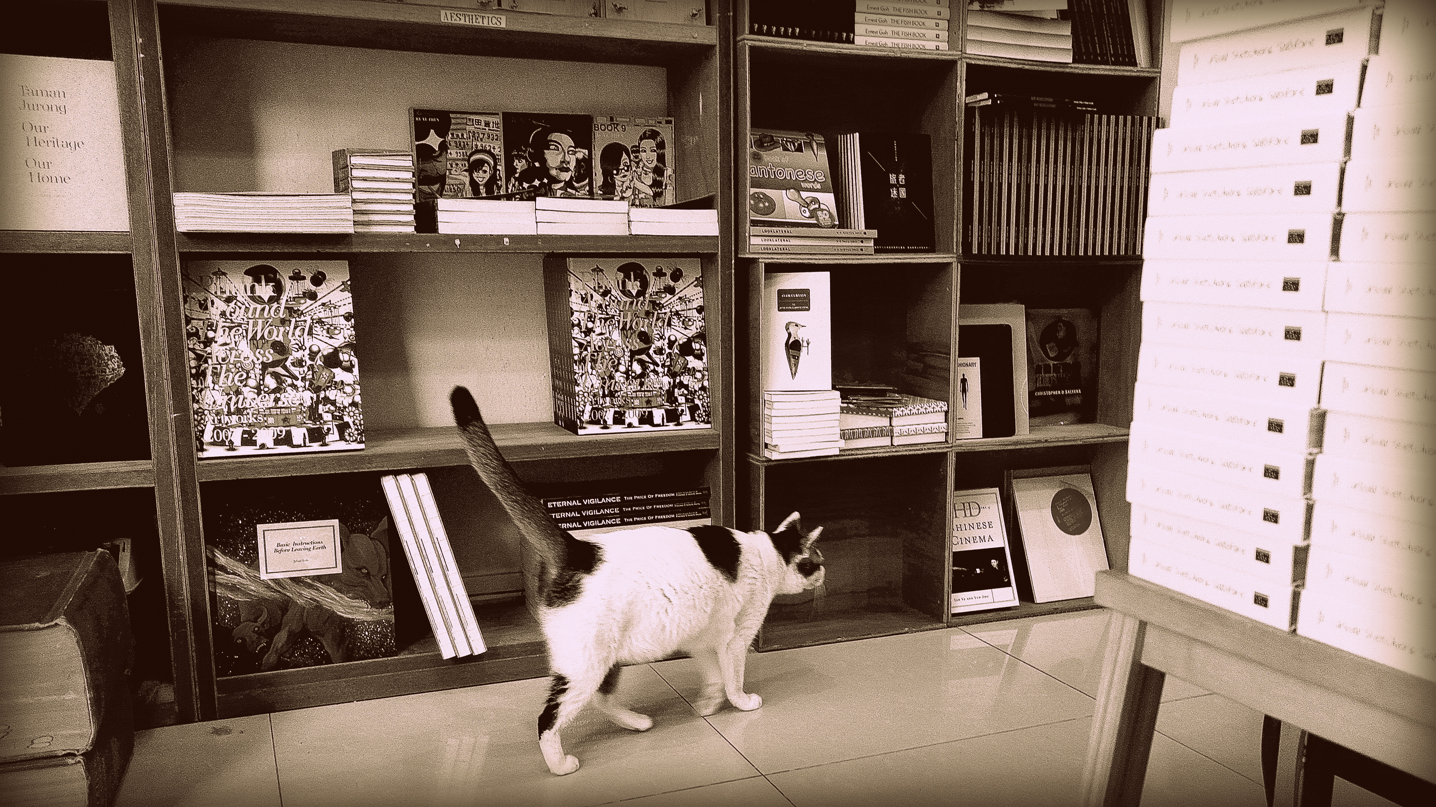 BooksActually is an independent bookstore at Tiong Bahru in Singapore run by the owner Kenny Leck with a focus on local books, international authors, and vintage goods | photographic essays on small businesses around the world by Shopkeeper Stories | www.ShopkeeperStories.com