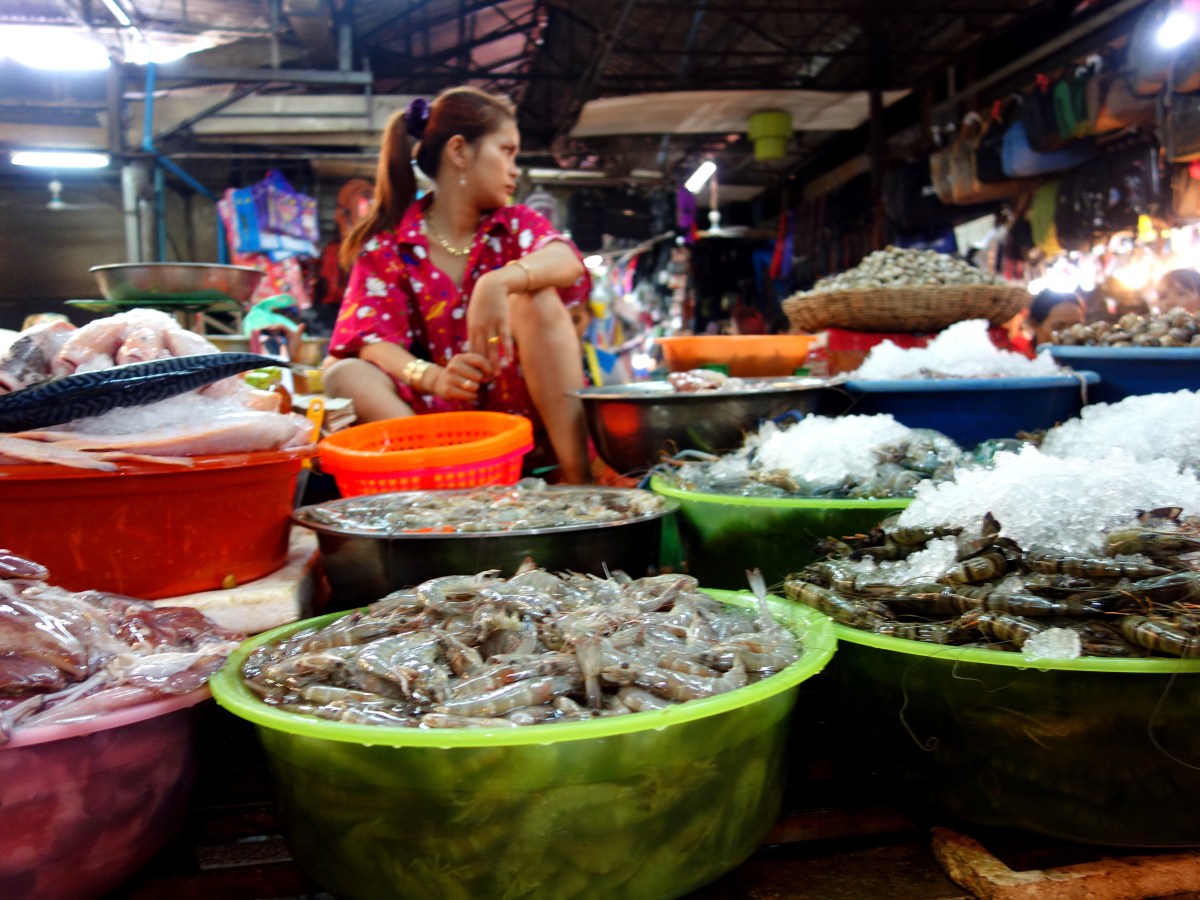 A river of&nbsp;protein